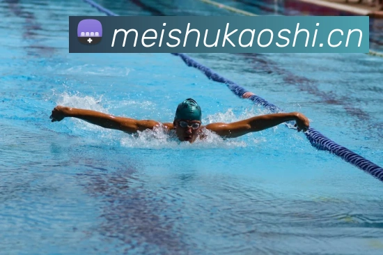 开云手机登录官网APP 封面图